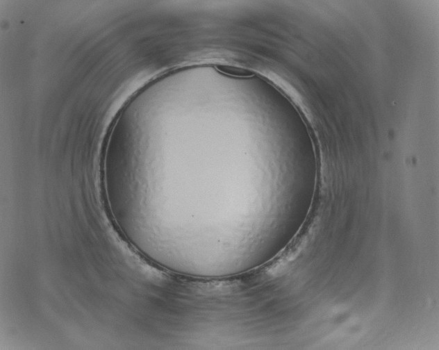 X0000076250949200610122202