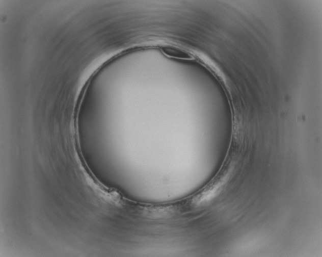 X0000076250951200610122202