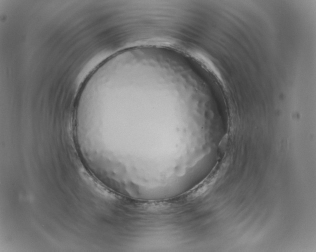 X0000076250952200610122202