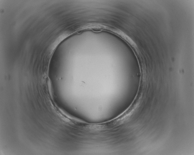 X0000076250953200610122202