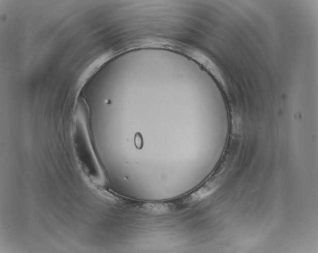 X0000076250954200610122202