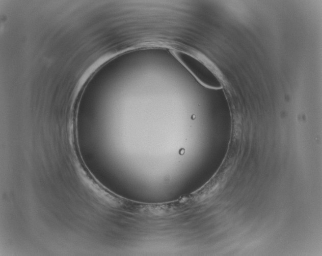 X0000076250955200610122202