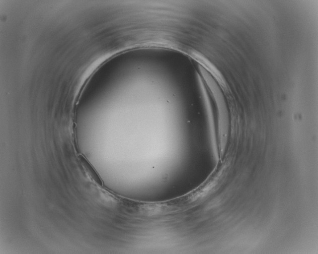 X0000076250956200610122202