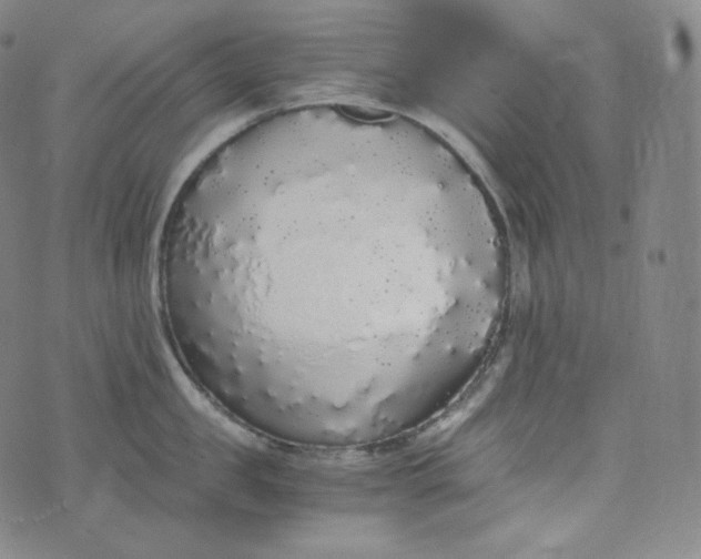 X0000076250957200610122202