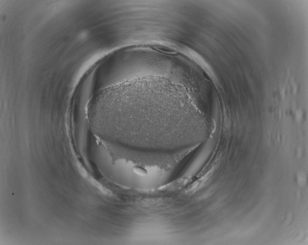 X0000076250958200610122202