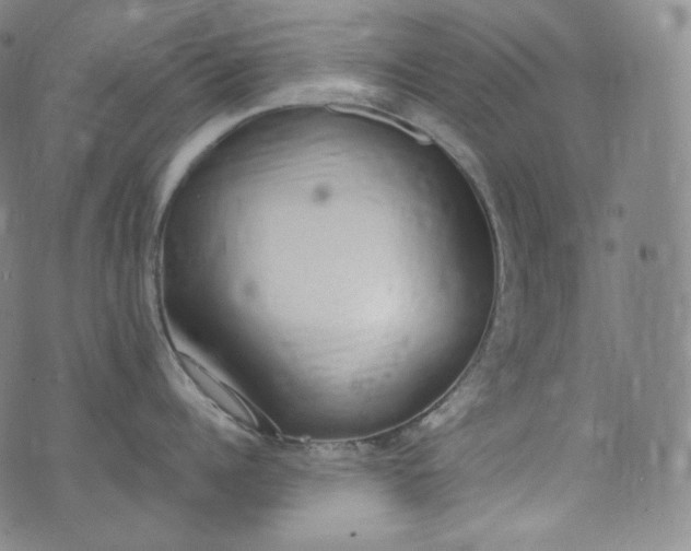 X0000076250960200610122202