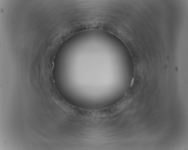 X0000076250961200610122201