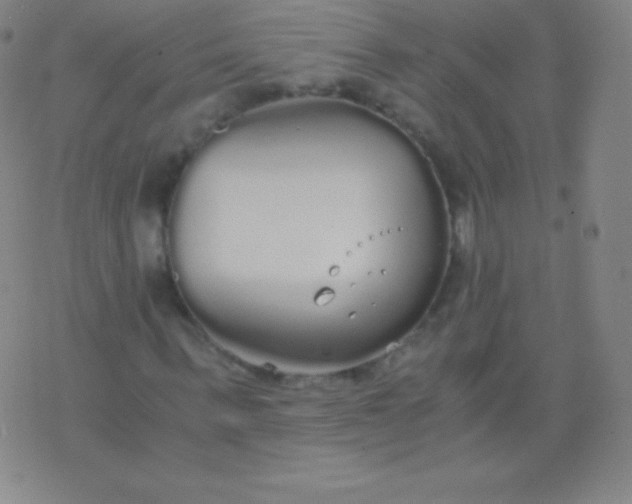 X0000076250963200610122201