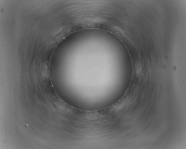 X0000076250964200610122201