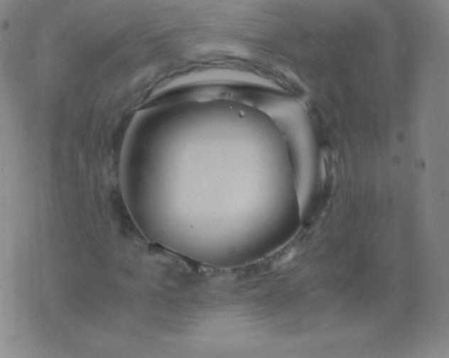 X0000076250965200610122201