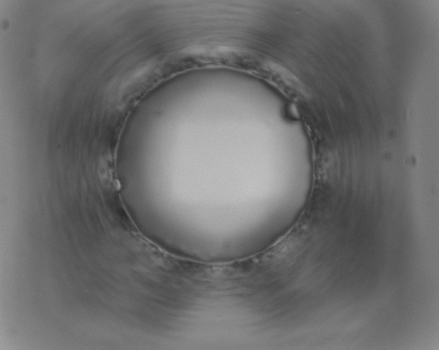 X0000076250966200610122201