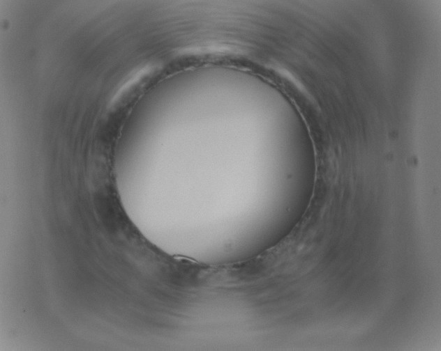 X0000076250967200610122201