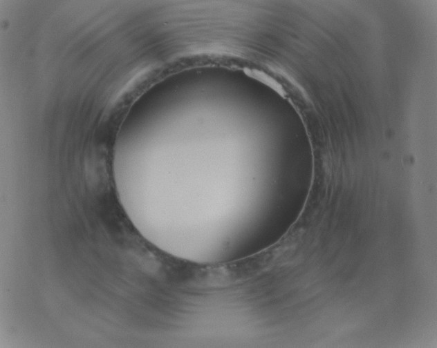 X0000076250968200610122201