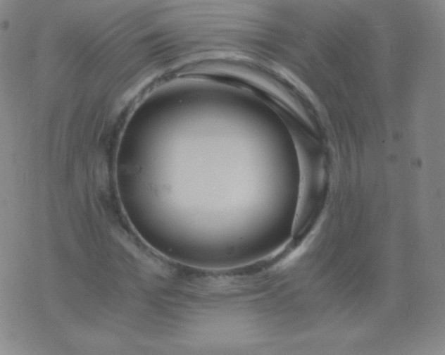 X0000076250969200610122201