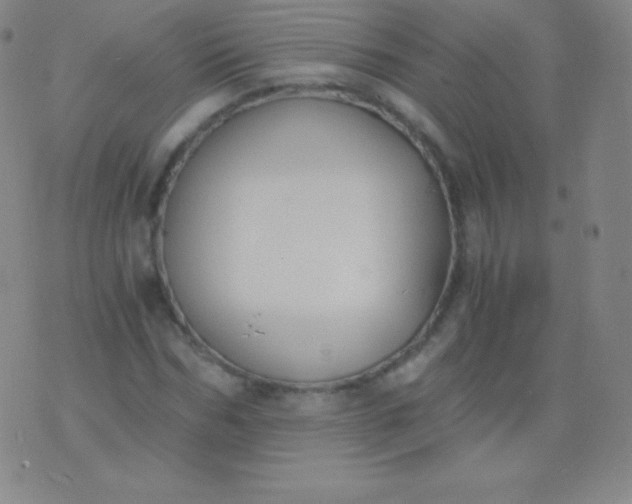 X0000076250970200610122201