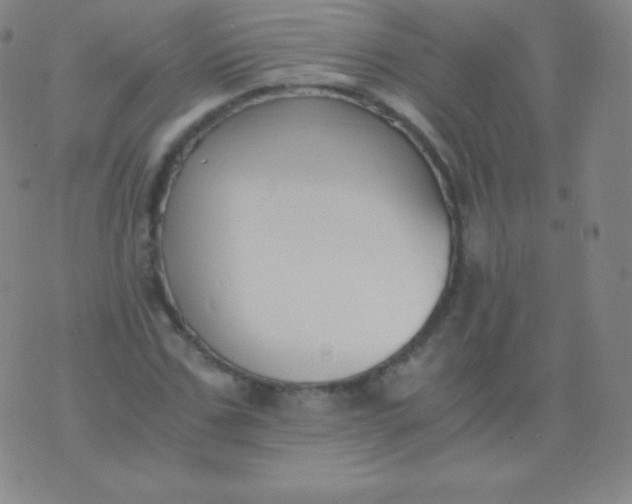 X0000076250971200610122201