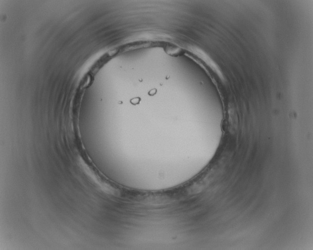 X0000076250972200610122201