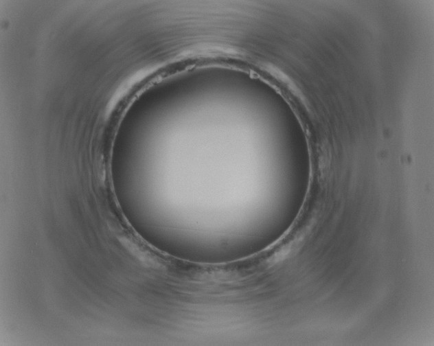 X0000076250973200610122201