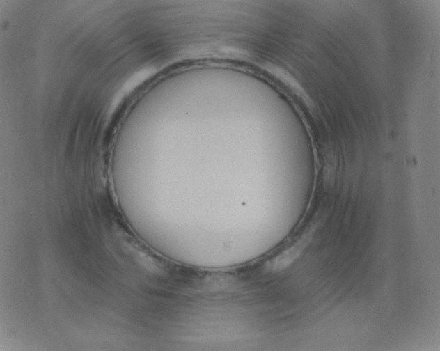 X0000076250974200610122201