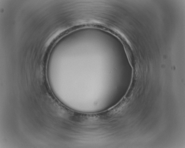 X0000076250975200610122201