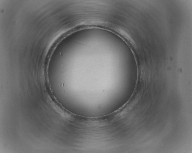 X0000076250976200610122201