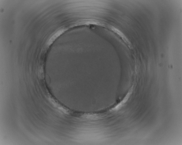 X0000076250977200610122201