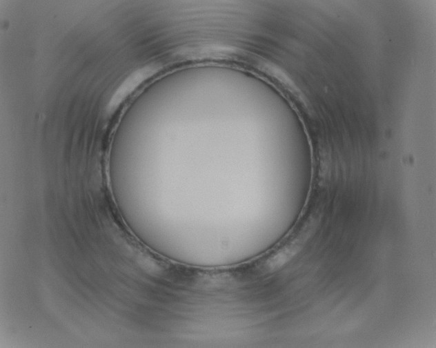 X0000076250978200610122201