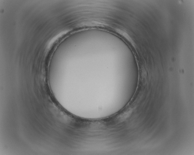 X0000076250979200610122201