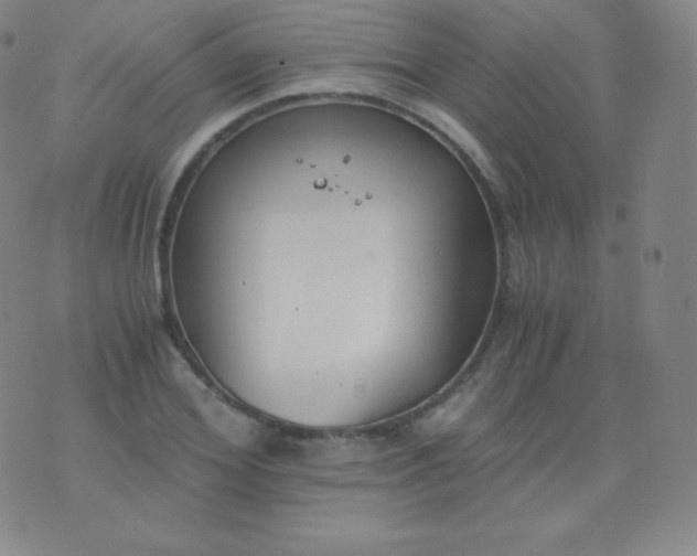 X0000076250980200610122201