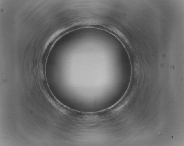 X0000076250981200610122201