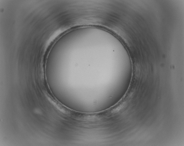 X0000076250982200610122201