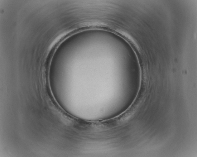 X0000076250983200610122201