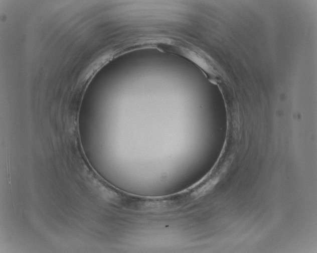 X0000076250985200610122201