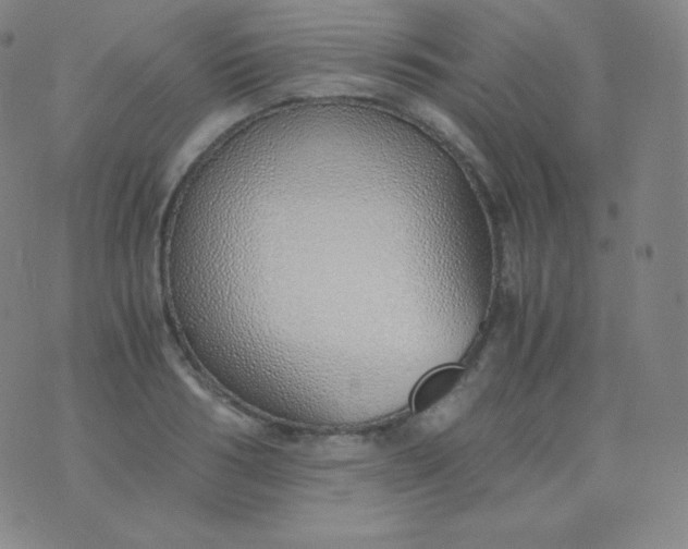 X0000076250986200610122201