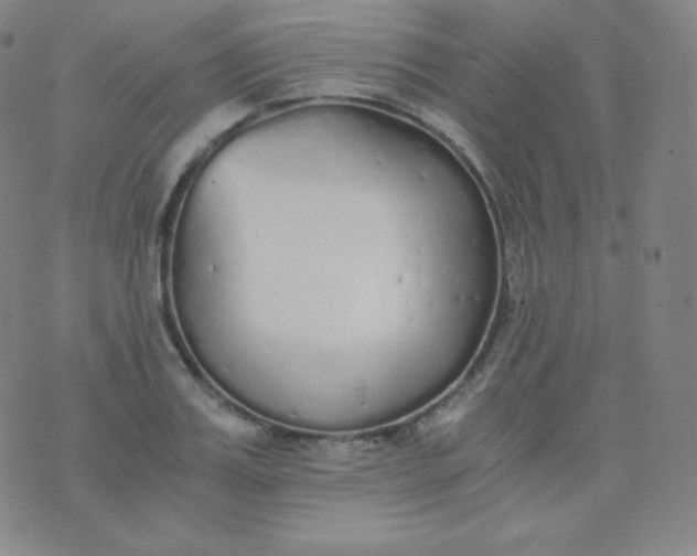 X0000076250987200610122201