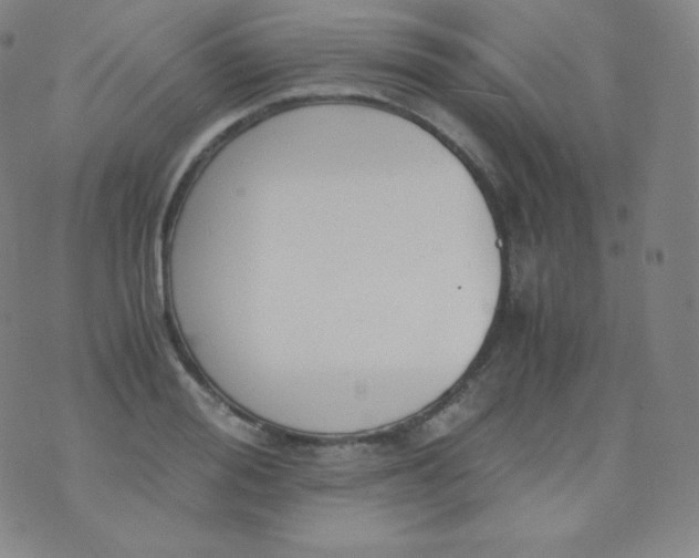 X0000076250988200610122201