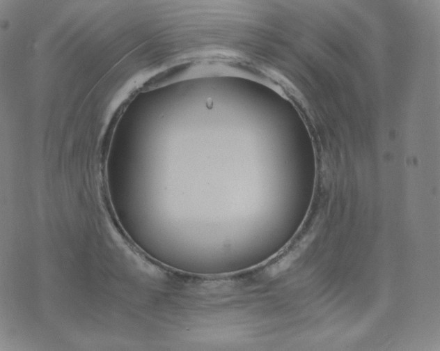 X0000076250989200610122201