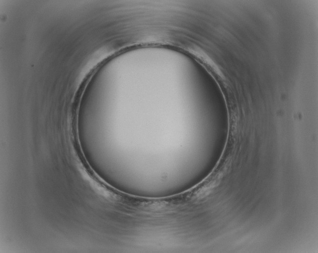 X0000076250991200610122201