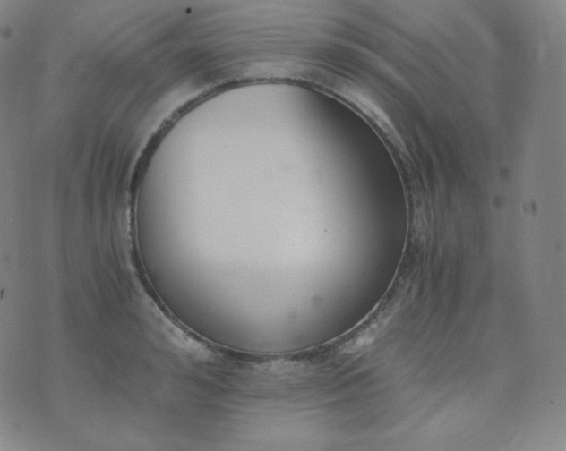 X0000076250992200610122201