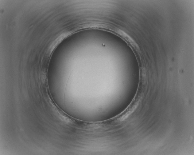 X0000076250993200610122201