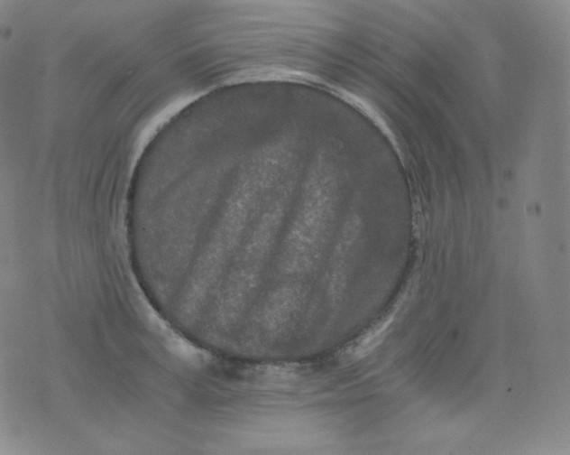 X0000076250995200610122201