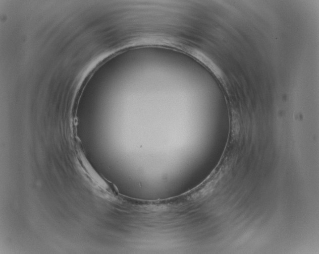 X0000076250996200610122201