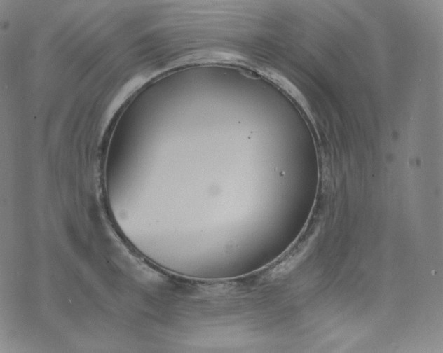 X0000076250997200610122201