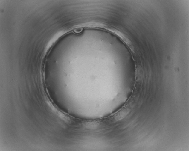 X0000076250998200610122201