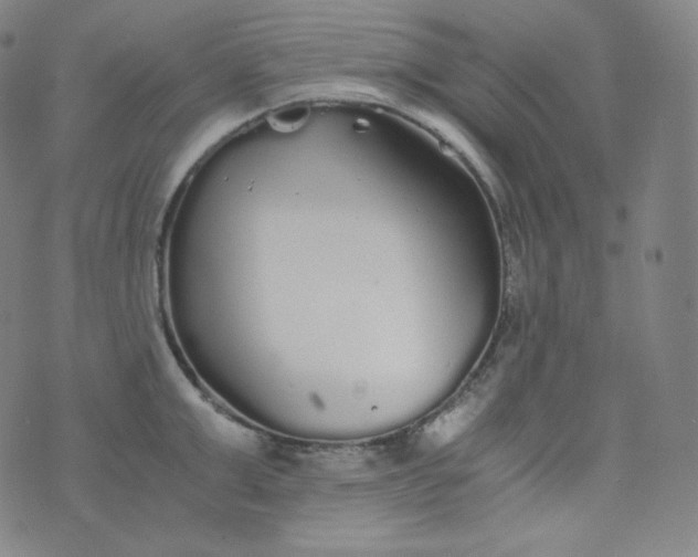 X0000076250999200610122201