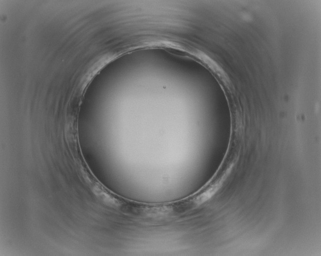 X0000076251001200610122200