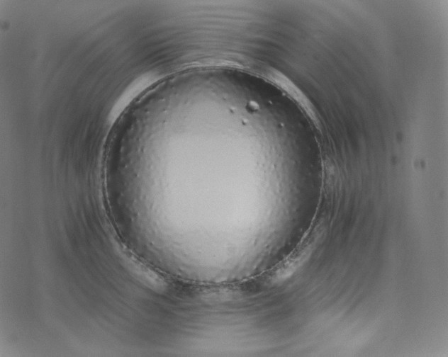 X0000076251002200610122200