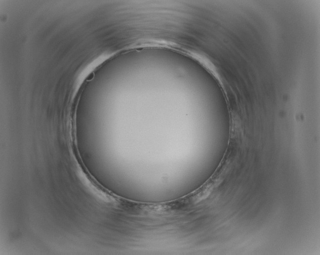 X0000076251003200610122200