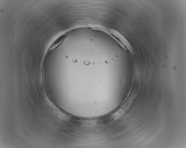 X0000076251004200610122200