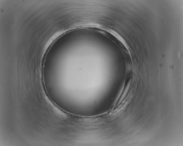 X0000076251005200610122200